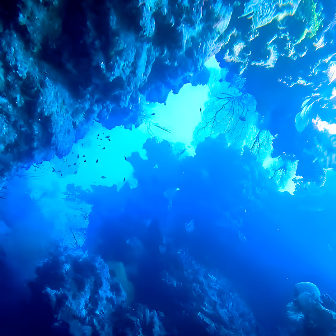 Introductory Scuba Diving in Port Douglas