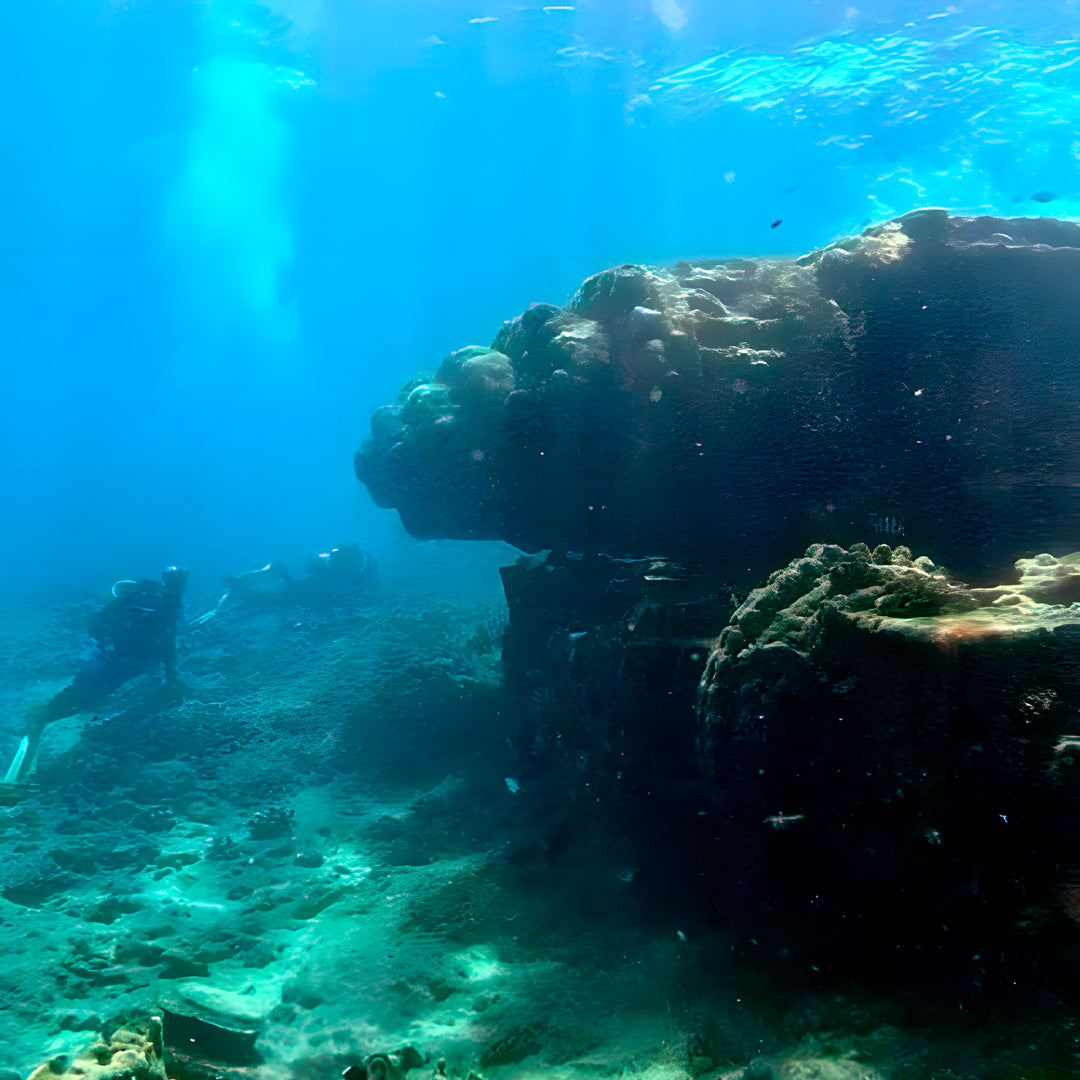 Port Douglas Fun Dive for Certified Divers
