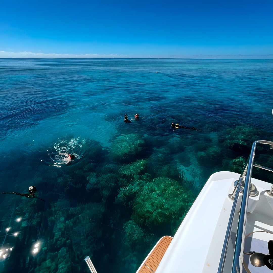 Port Douglas Fun Dive for Certified Divers