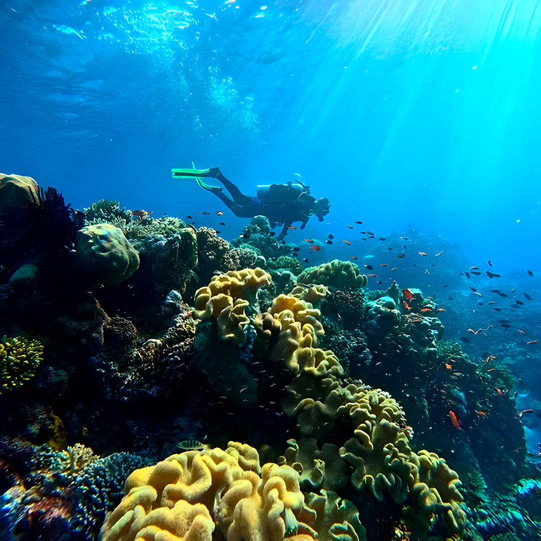 Open Water Scuba Diver Course in Port Douglas