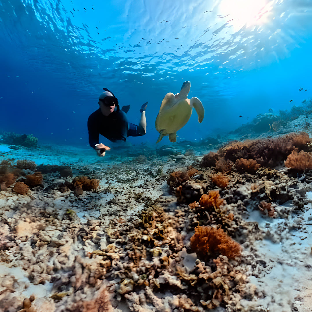 Beginner Scuba Diver Course in Port Douglas