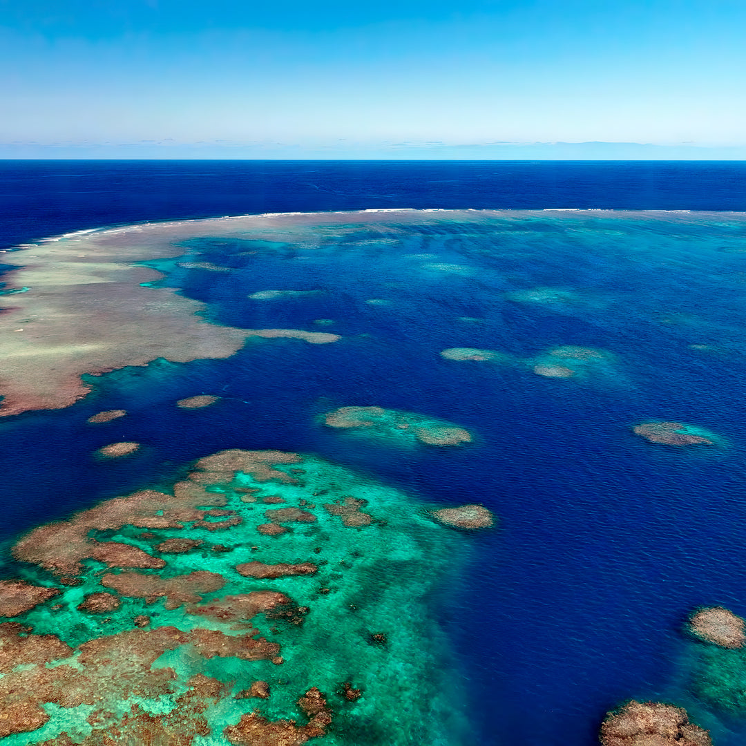 Beginner Scuba Diver Course in Port Douglas