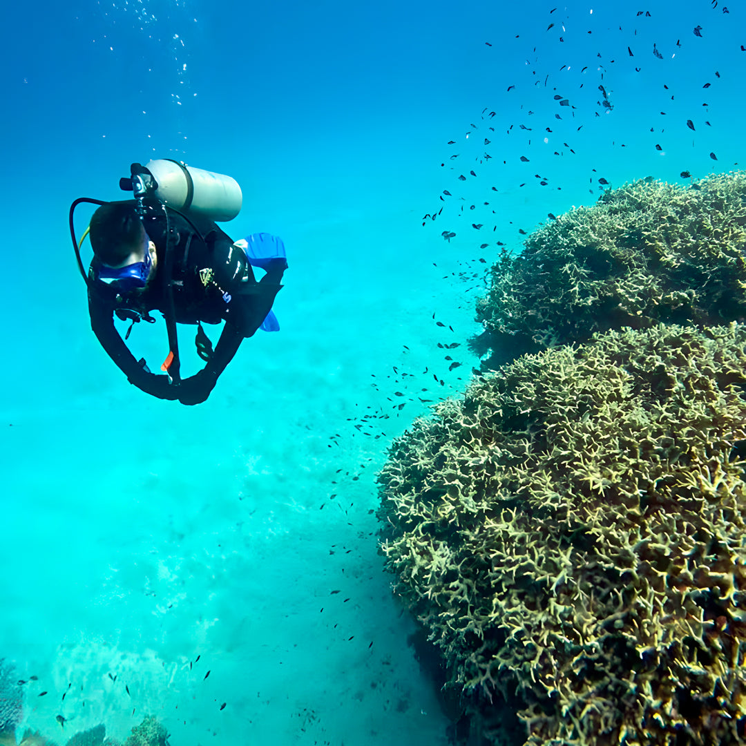 Introductory Scuba Diving in Port Douglas