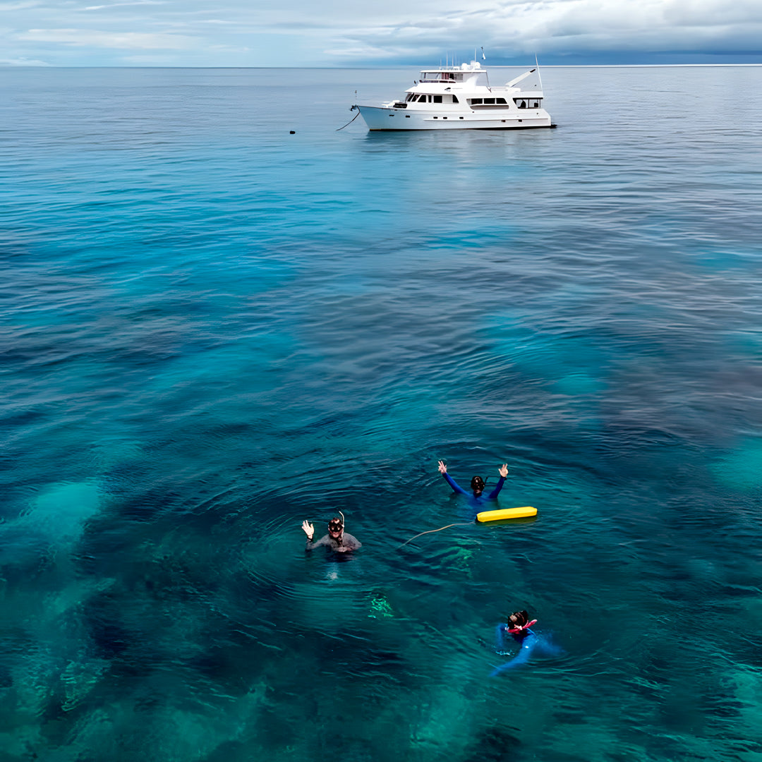 Beginner Scuba Diver Course in Port Douglas