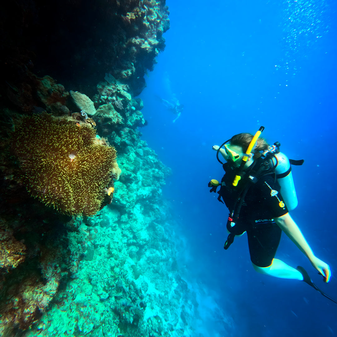 Advanced Open Water Course in Port Douglas