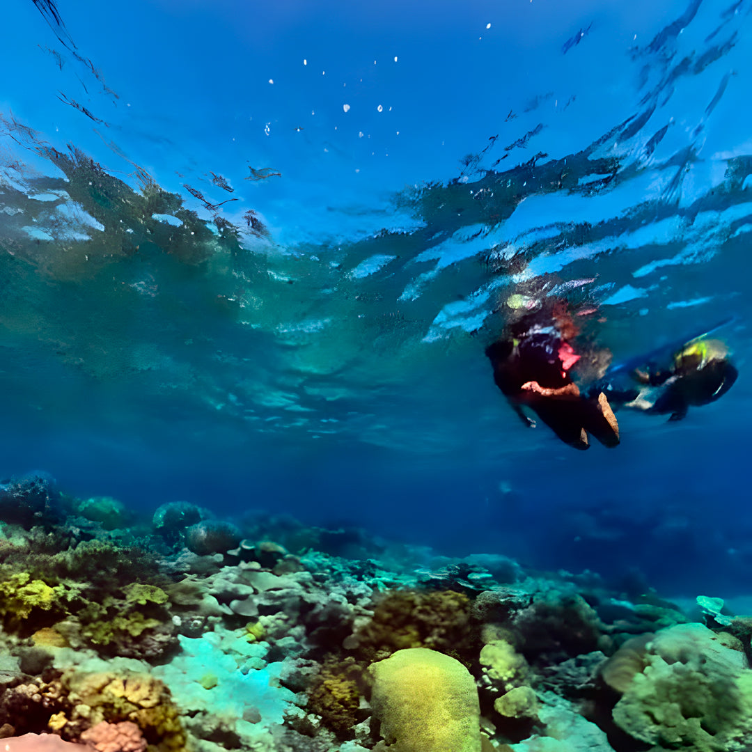 Open Water Scuba Diver Course in Port Douglas