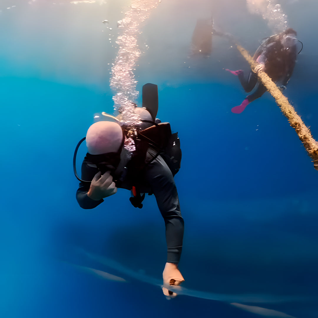 Beginner Scuba Diver Course in Port Douglas