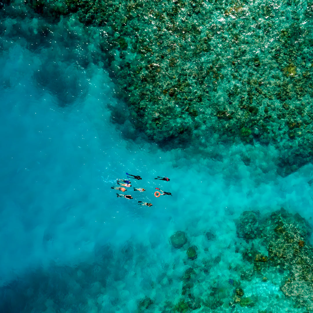 Beginner Scuba Diver Course in Port Douglas