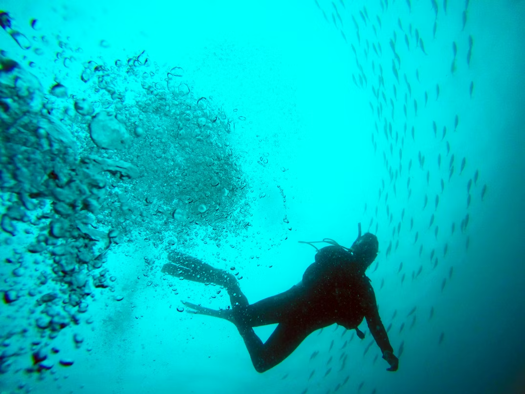 South Ari Atoll Scuba Diving Resort Trip