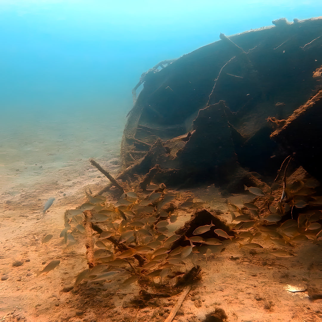 Tabaiba Wreck Fun Dive