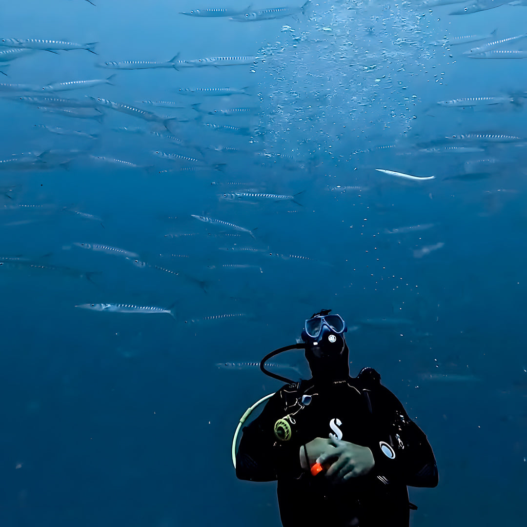 Tabaiba Wreck Fun Dive