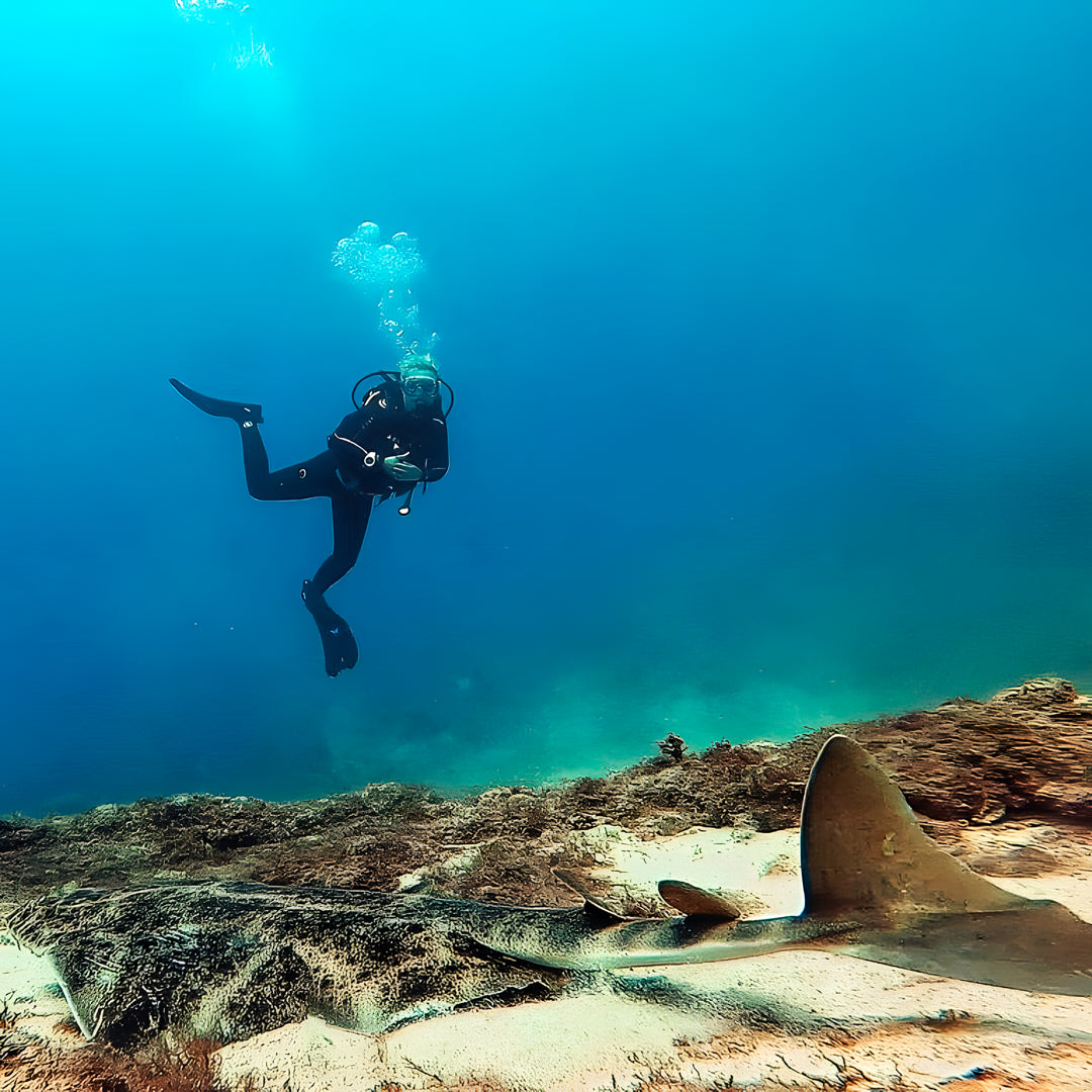 Tabaiba Wreck Fun Dive