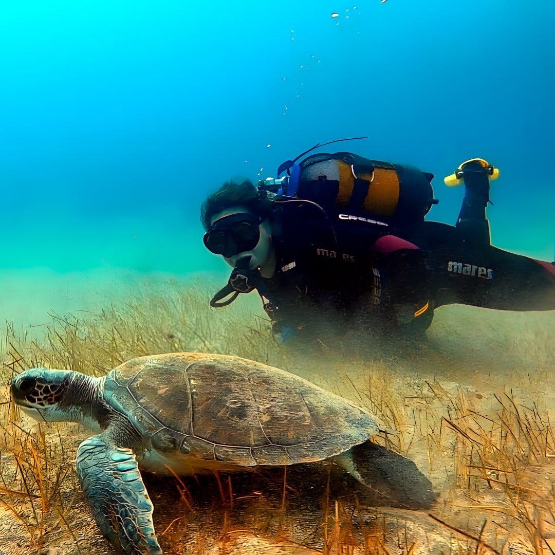 Tabaiba Wreck Fun Dive