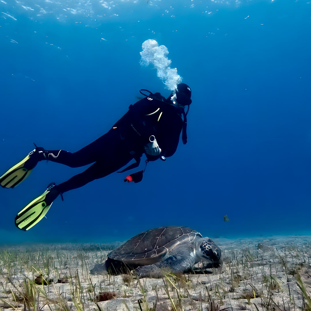 Tabaiba Wreck Fun Dive
