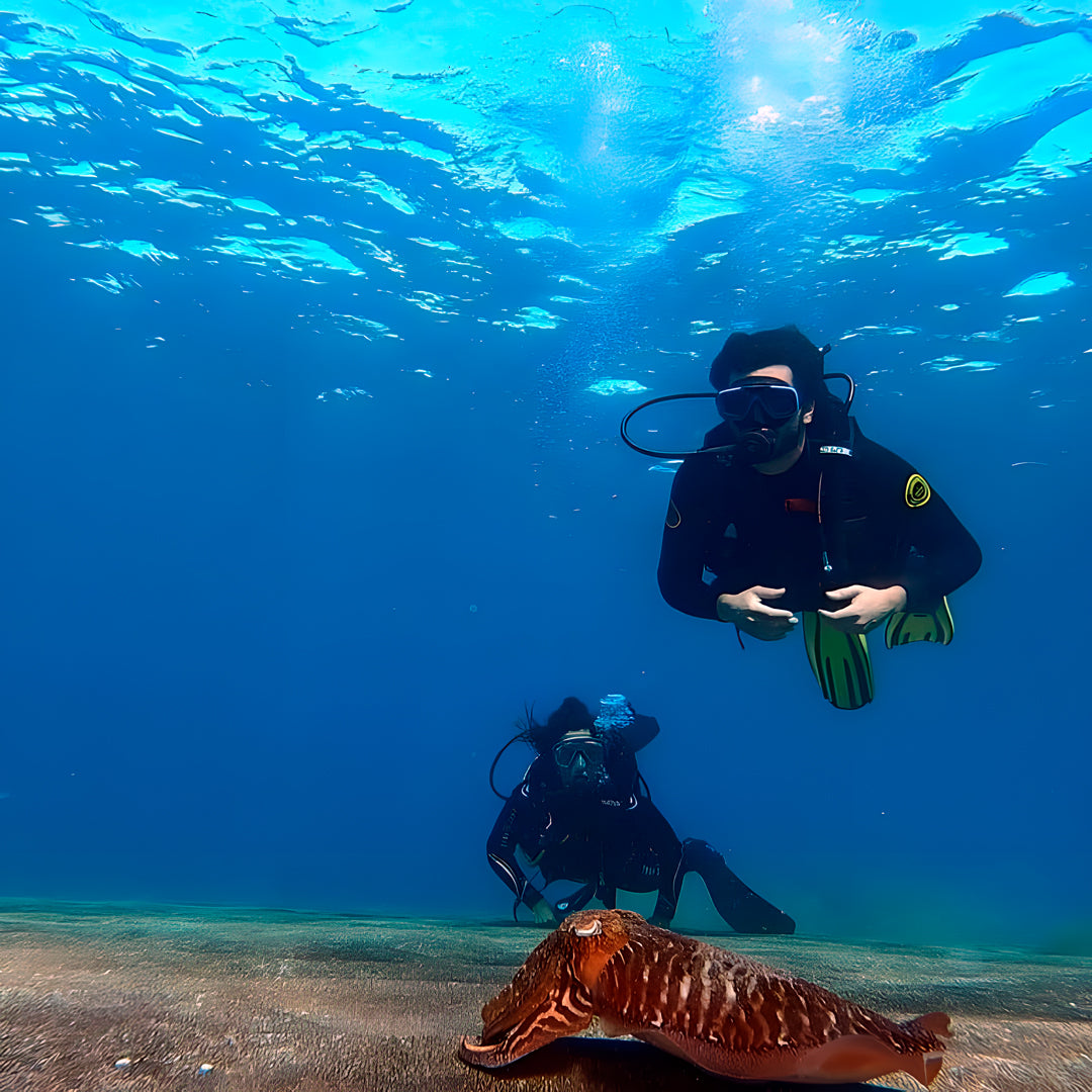 Tabaiba Wreck Fun Dive