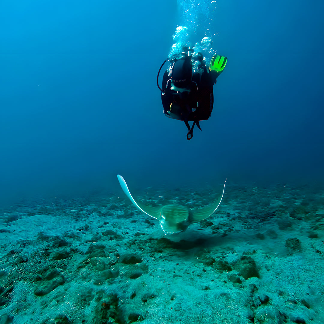 Tabaiba Wreck Fun Dive