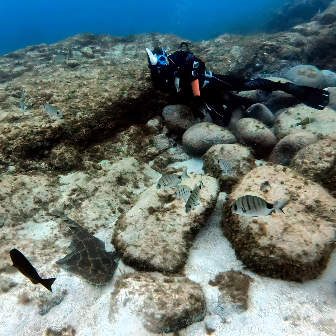 Tabaiba Wreck Fun Dive