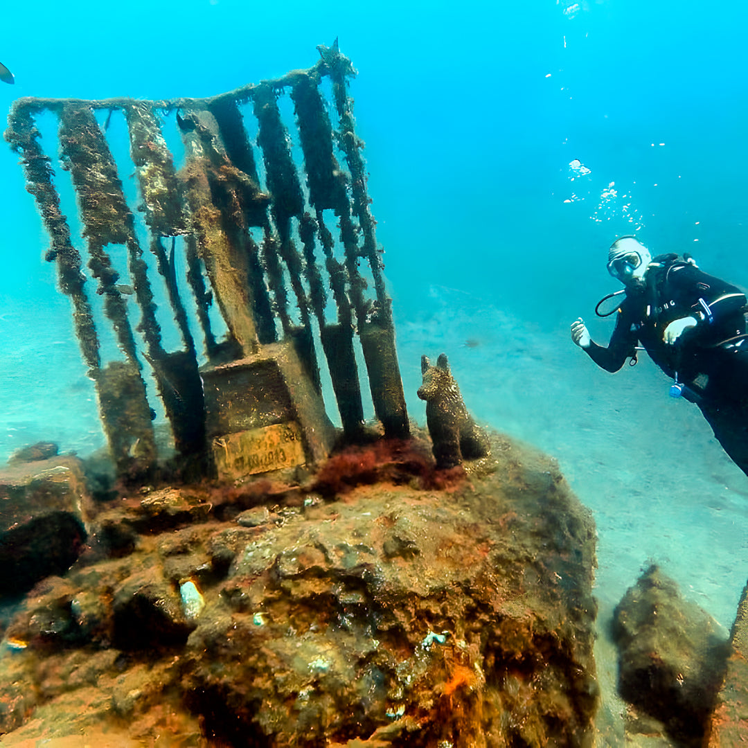 Tabaiba Wreck Fun Dive