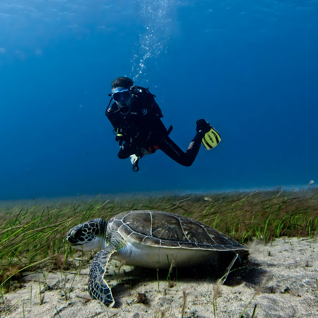 Tabaiba Wreck Fun Dive