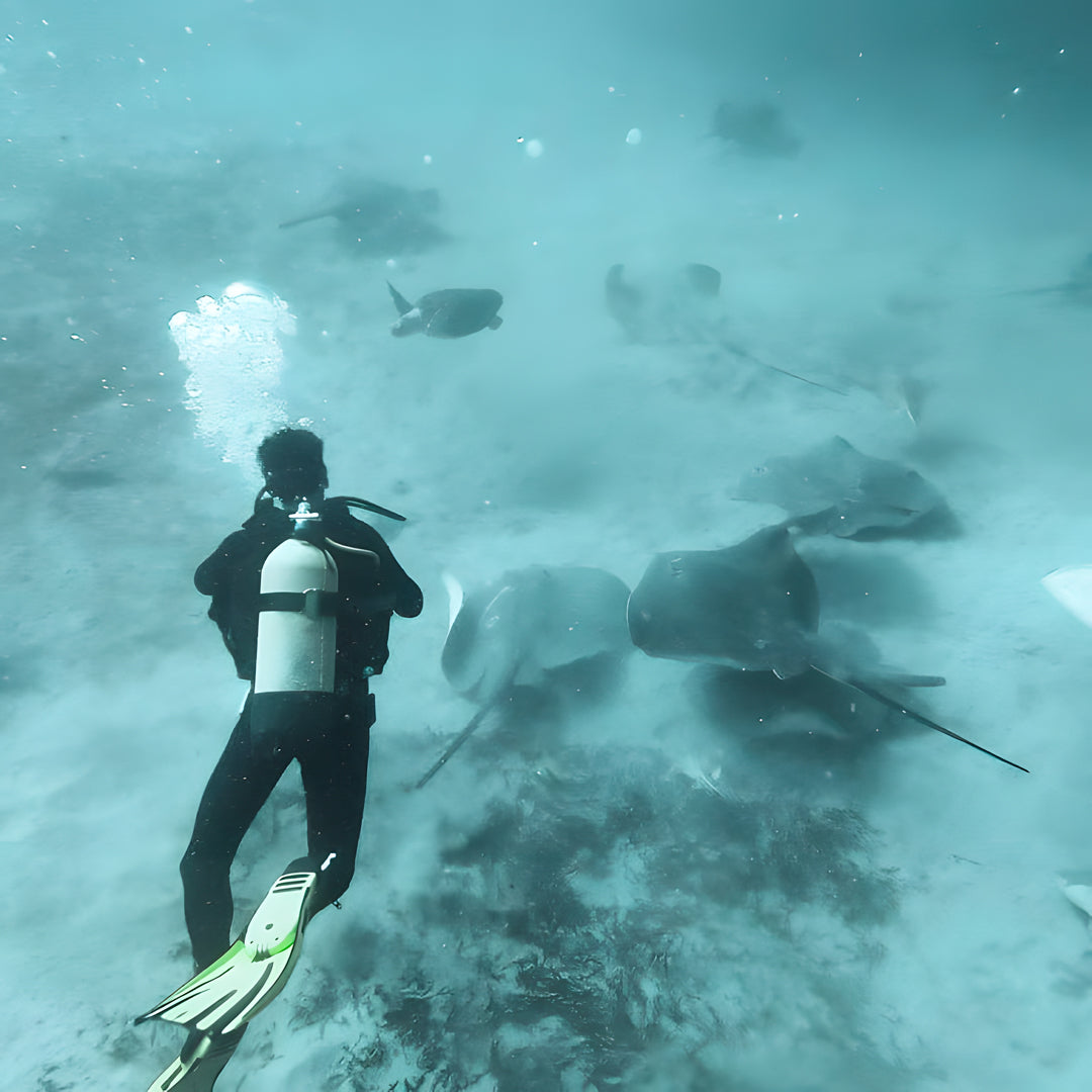 Tabaiba Wreck Fun Dive