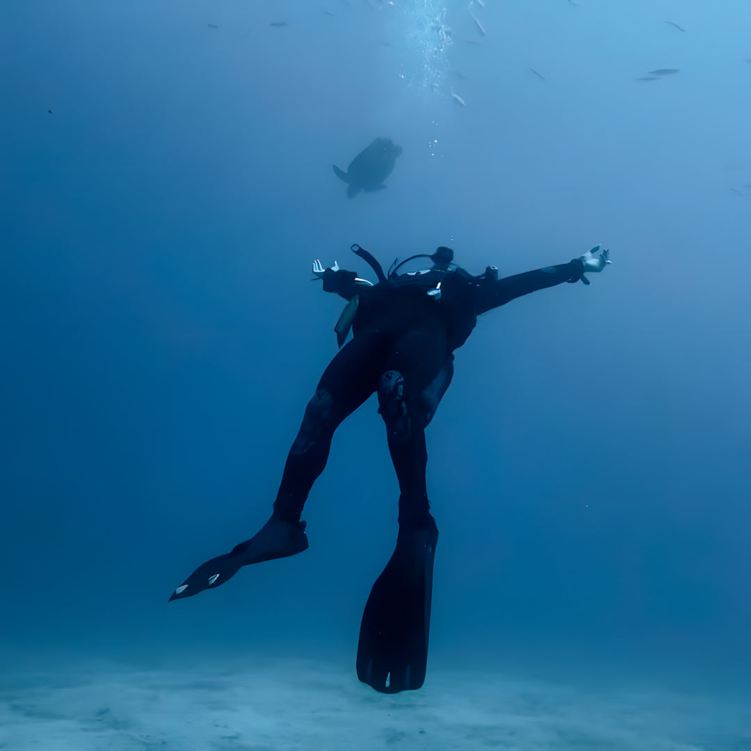 Tabaiba Wreck Fun Dive