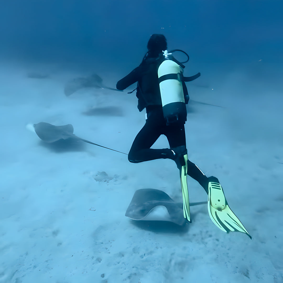 Tabaiba Wreck Fun Dive