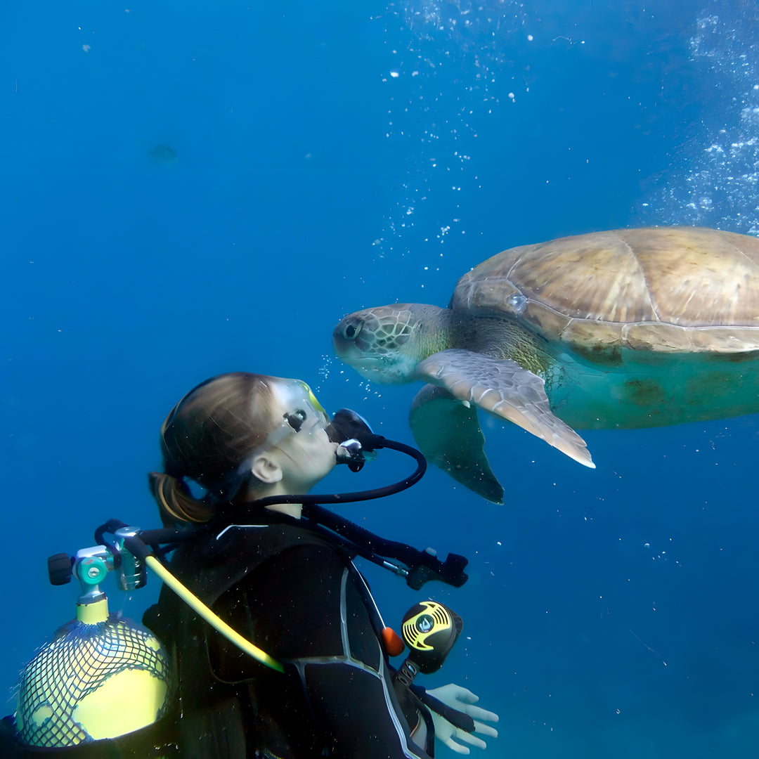 PADI Open Water Scuba Diving Beginner Course