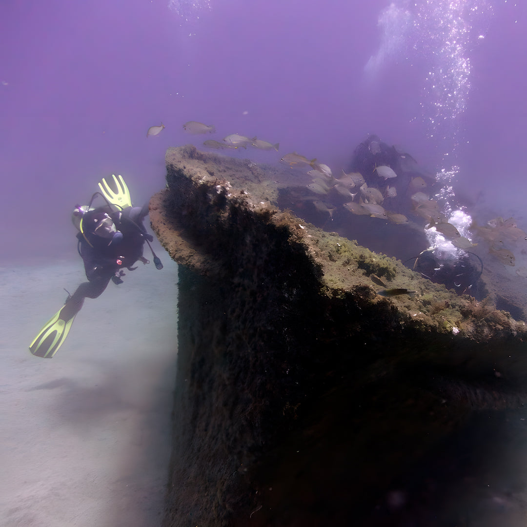 PADI Open Water Scuba Diving Beginner Course