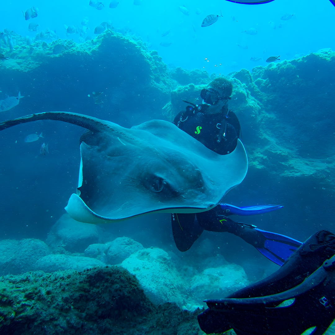 PADI Open Water Scuba Diving Beginner Course