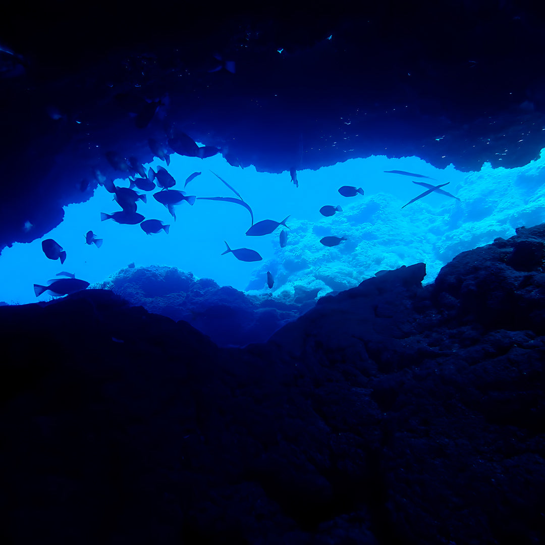 PADI Open Water Scuba Diving Beginner Course
