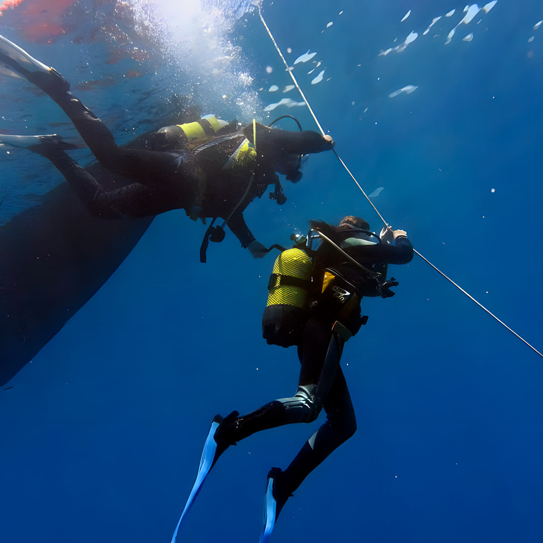 PADI Open Water Scuba Diving Beginner Course