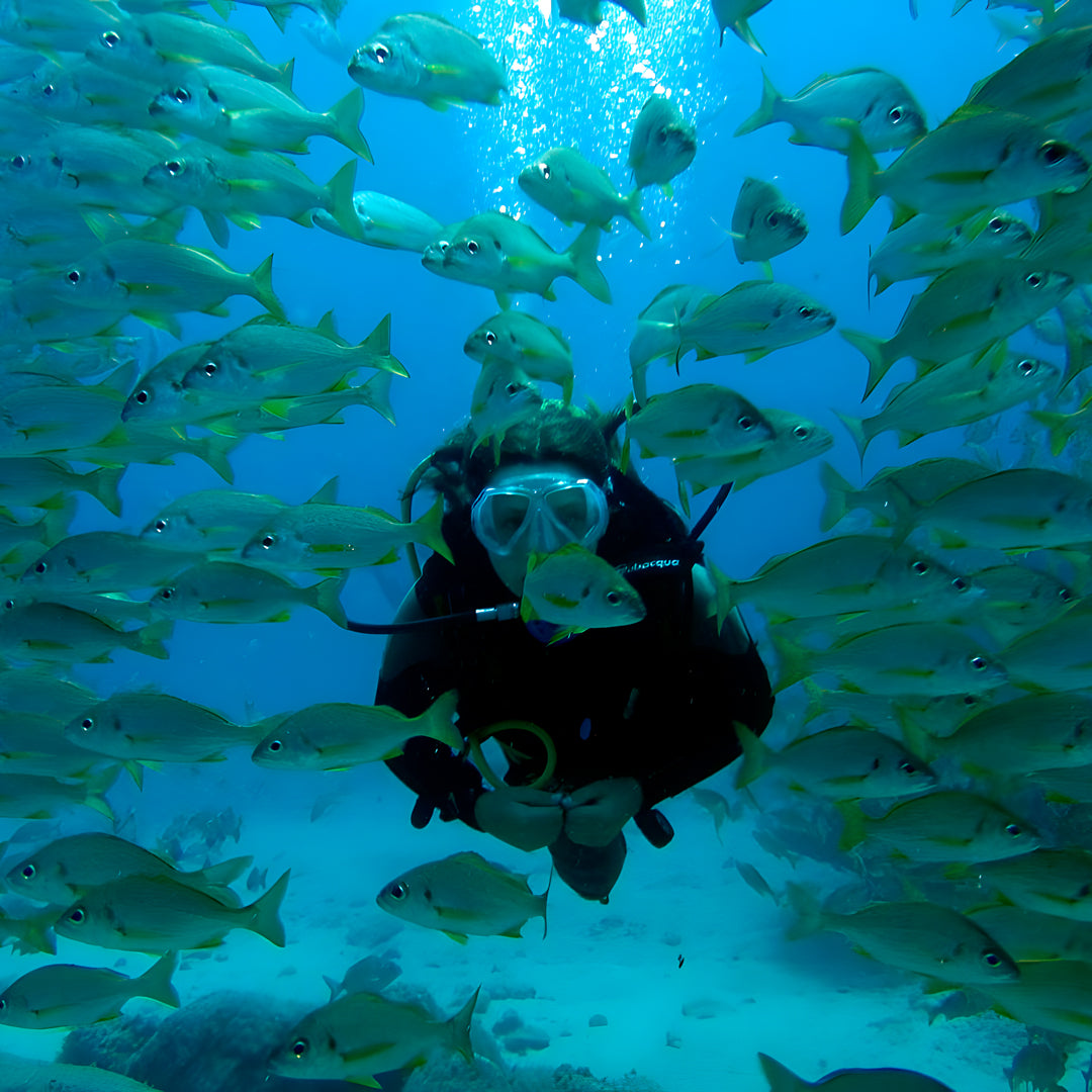 PADI Open Water Scuba Diving Beginner Course
