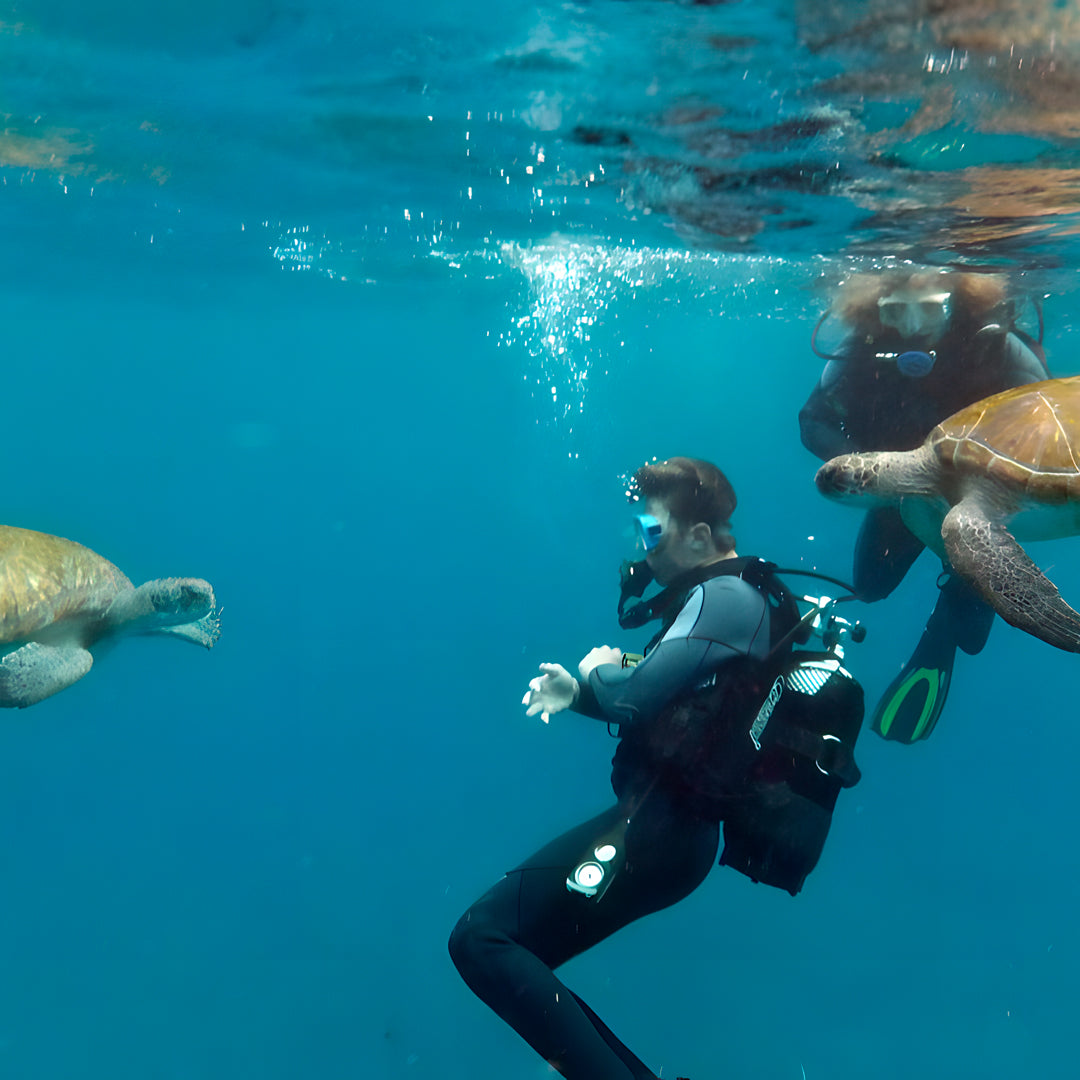 PADI Open Water Scuba Diving Beginner Course