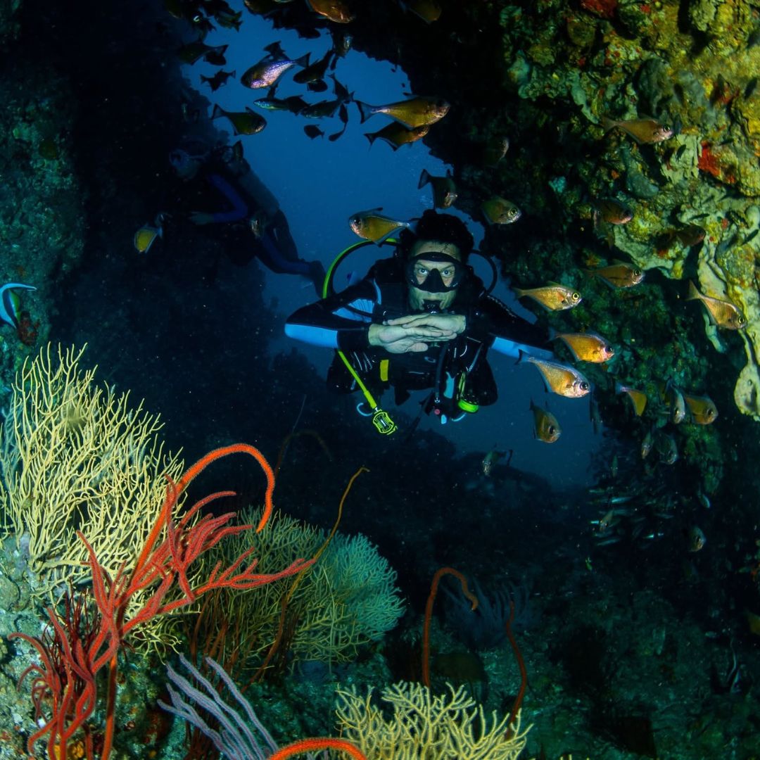 Phuket Shark Point Scuba Diving Day Trip