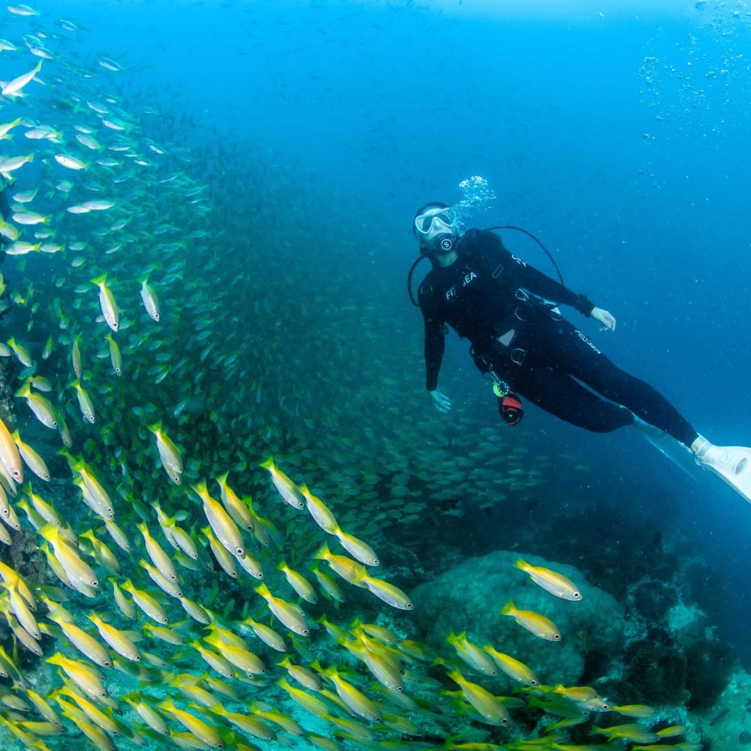 Phuket Shark Point Scuba Diving Day Trip