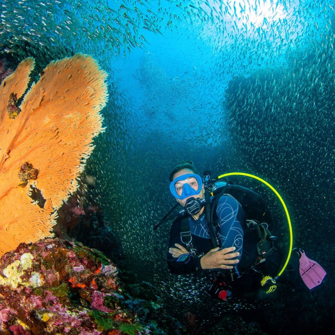 Phuket Shark Point Scuba Diving Day Trip
