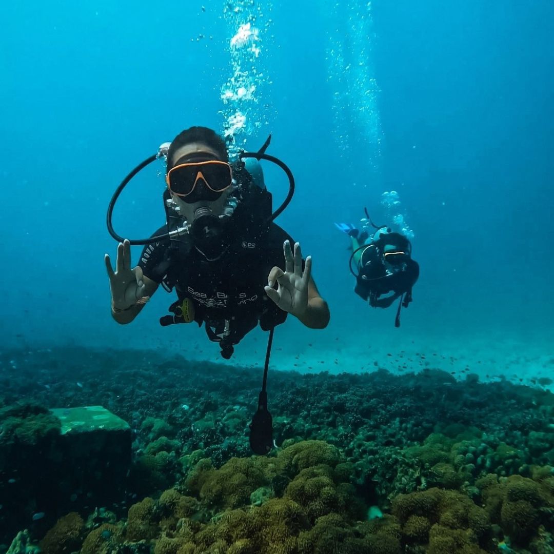 Phuket Shark Point Scuba Diving Day Trip