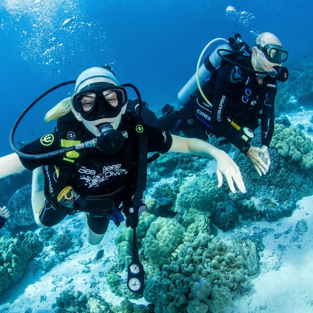Phuket Shark Point Scuba Diving Day Trip