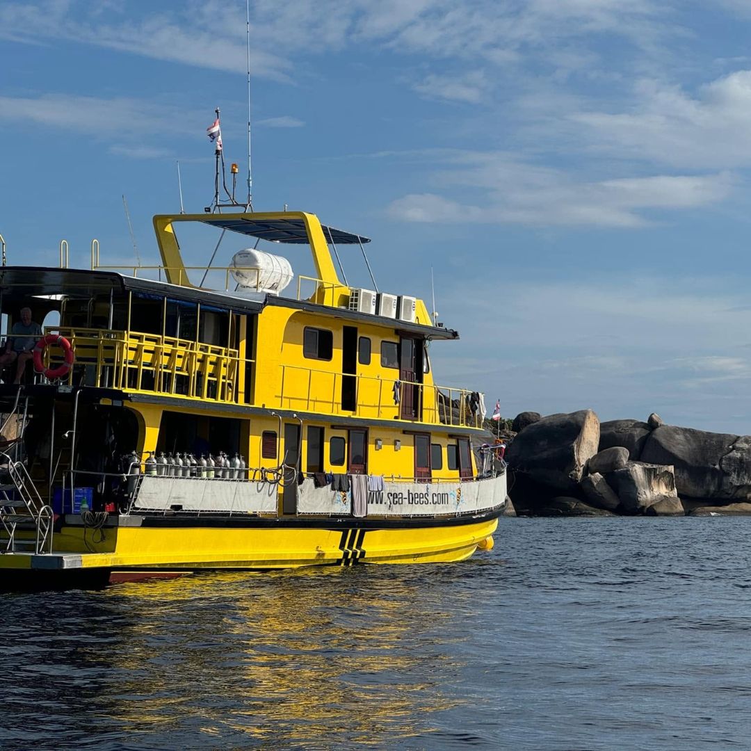 Phuket Shark Point Scuba Diving Day Trip