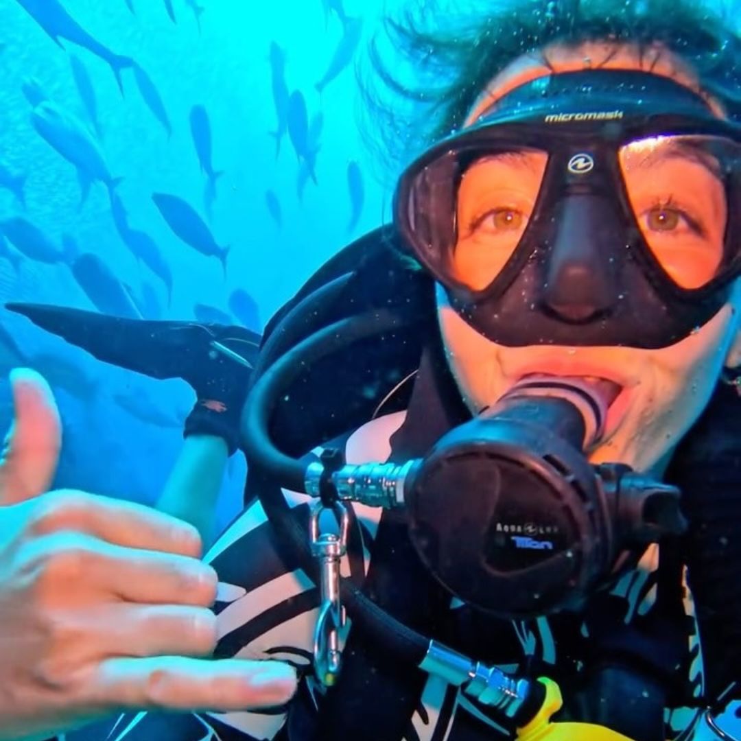 Phuket Shark Point Scuba Diving Day Trip