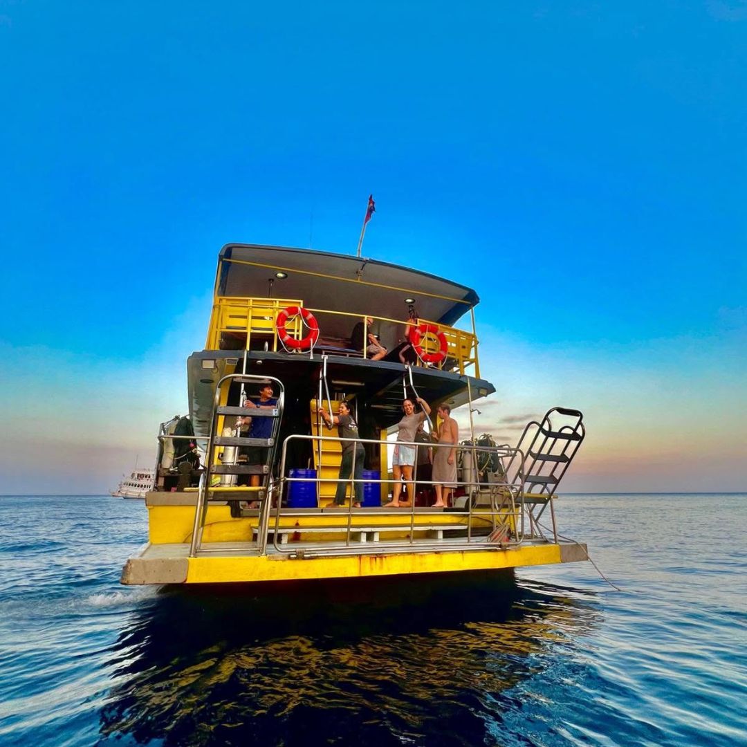 Phuket Shark Point Scuba Diving Day Trip