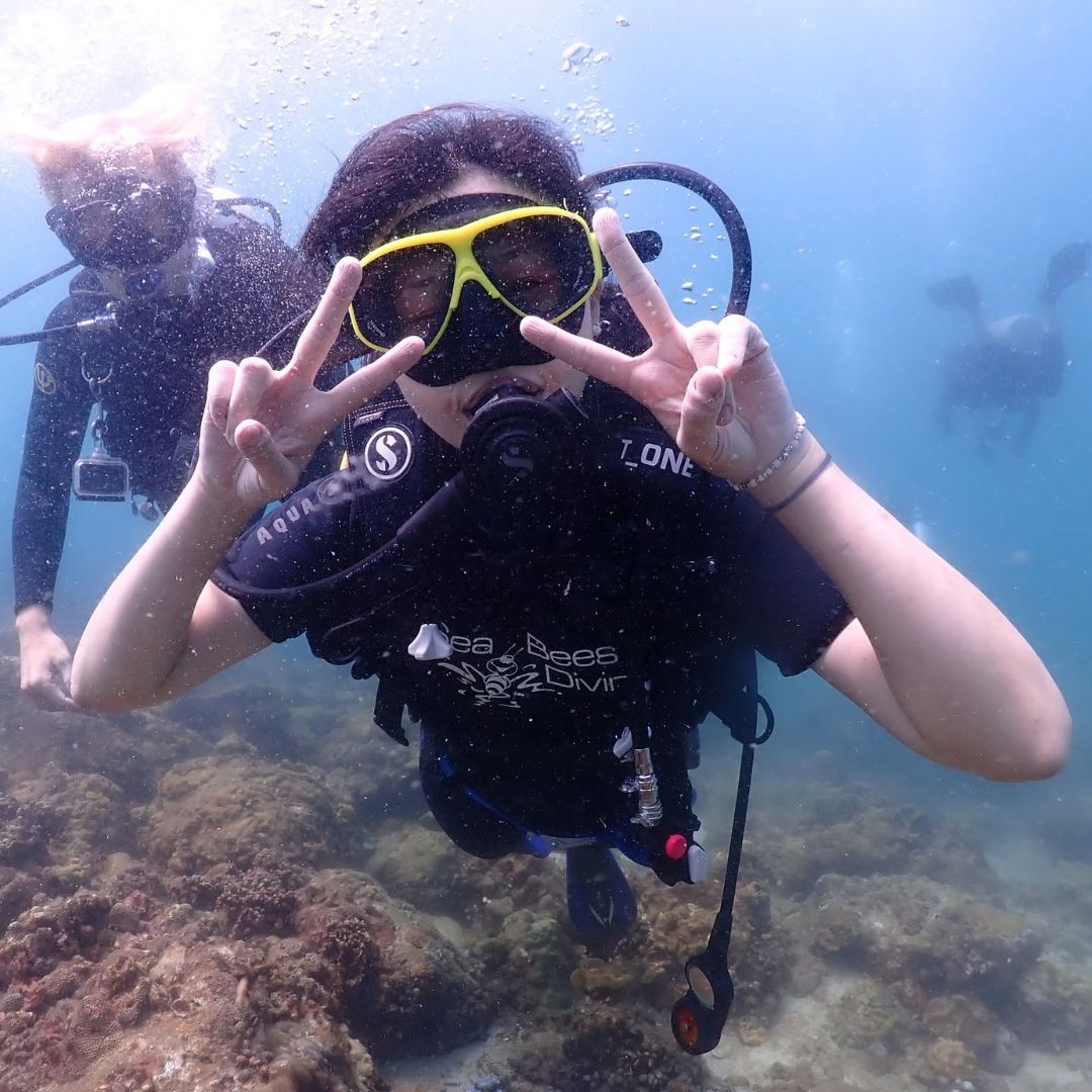 Phuket Shark Point Scuba Diving Day Trip