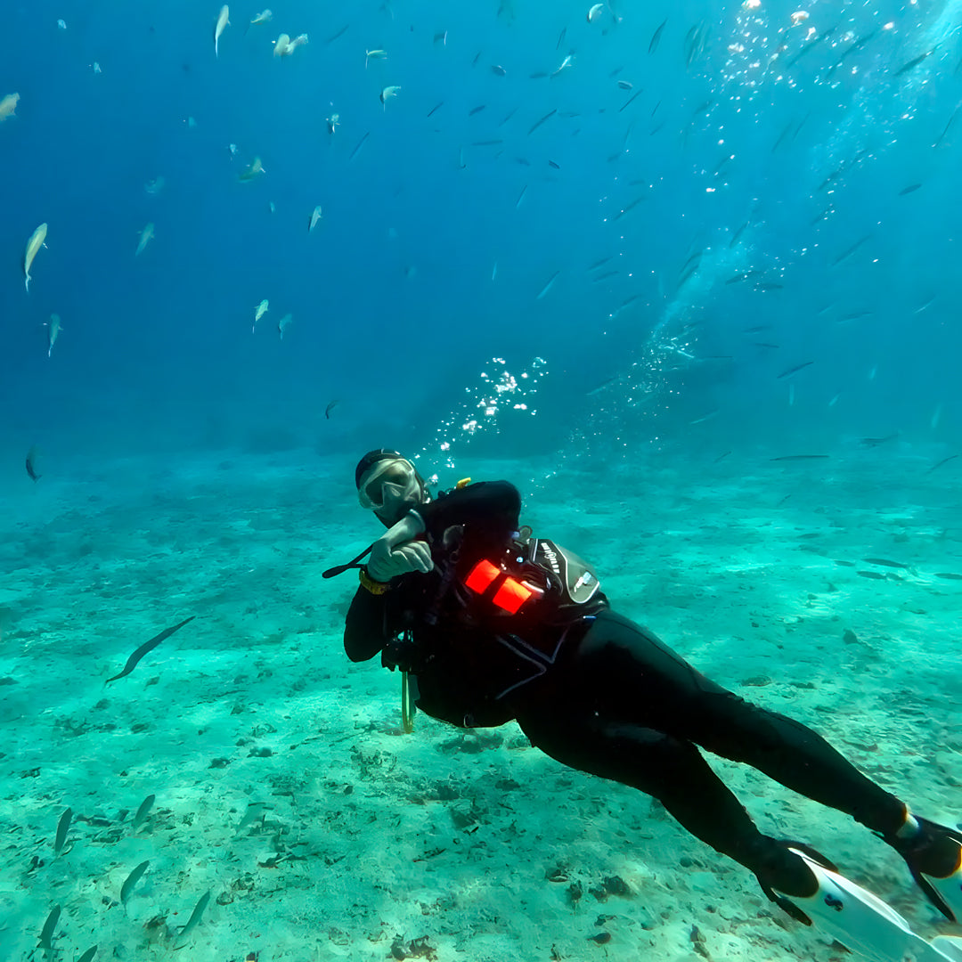 Nai Yang Half Day Local Reef Fun Dive