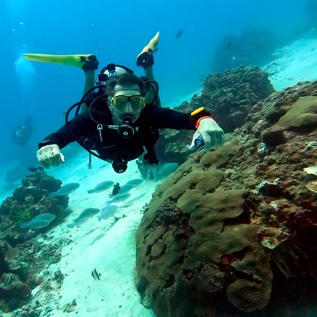 Racha Yai Scuba Diving Day Trip