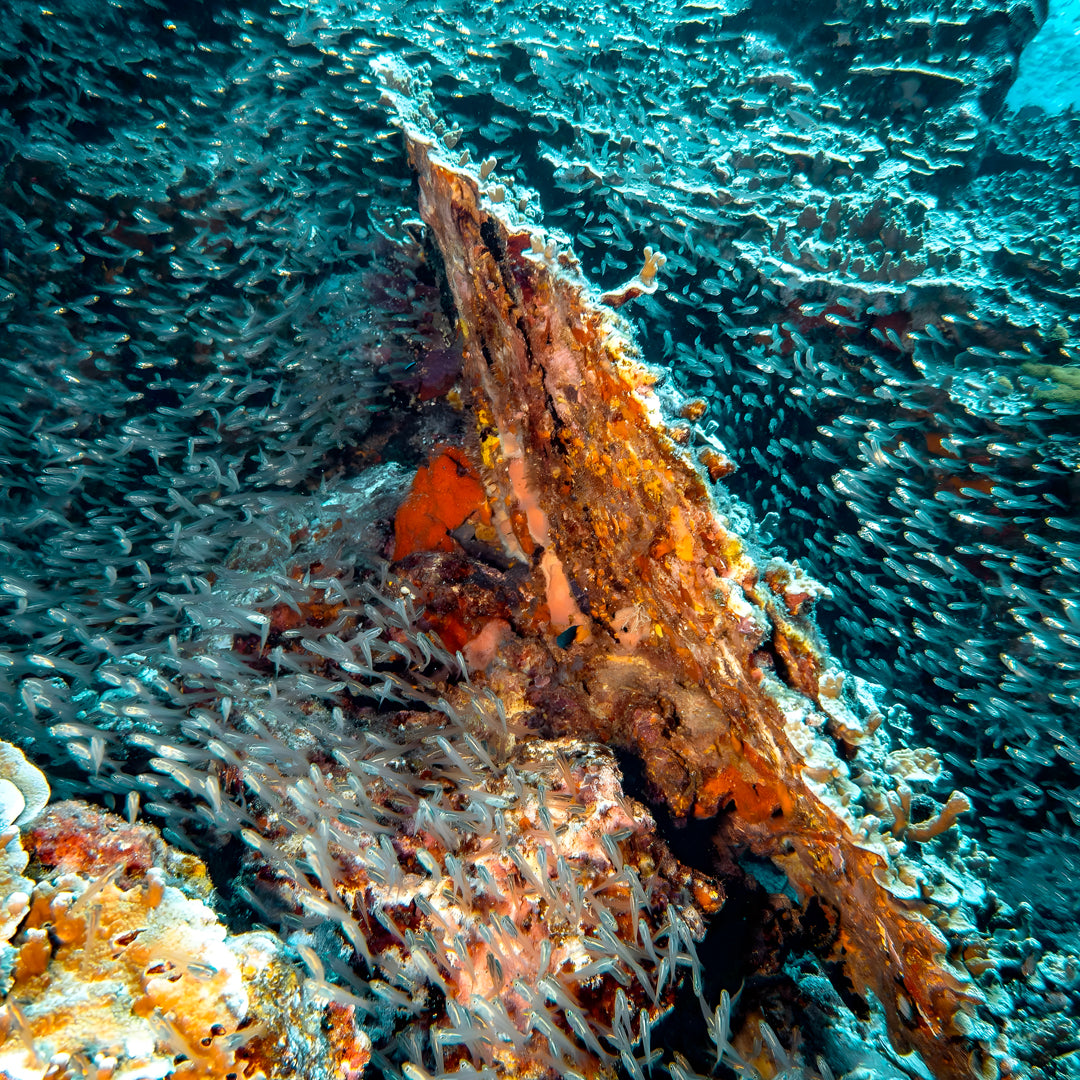 Racha Yai Scuba Diving Day Trip