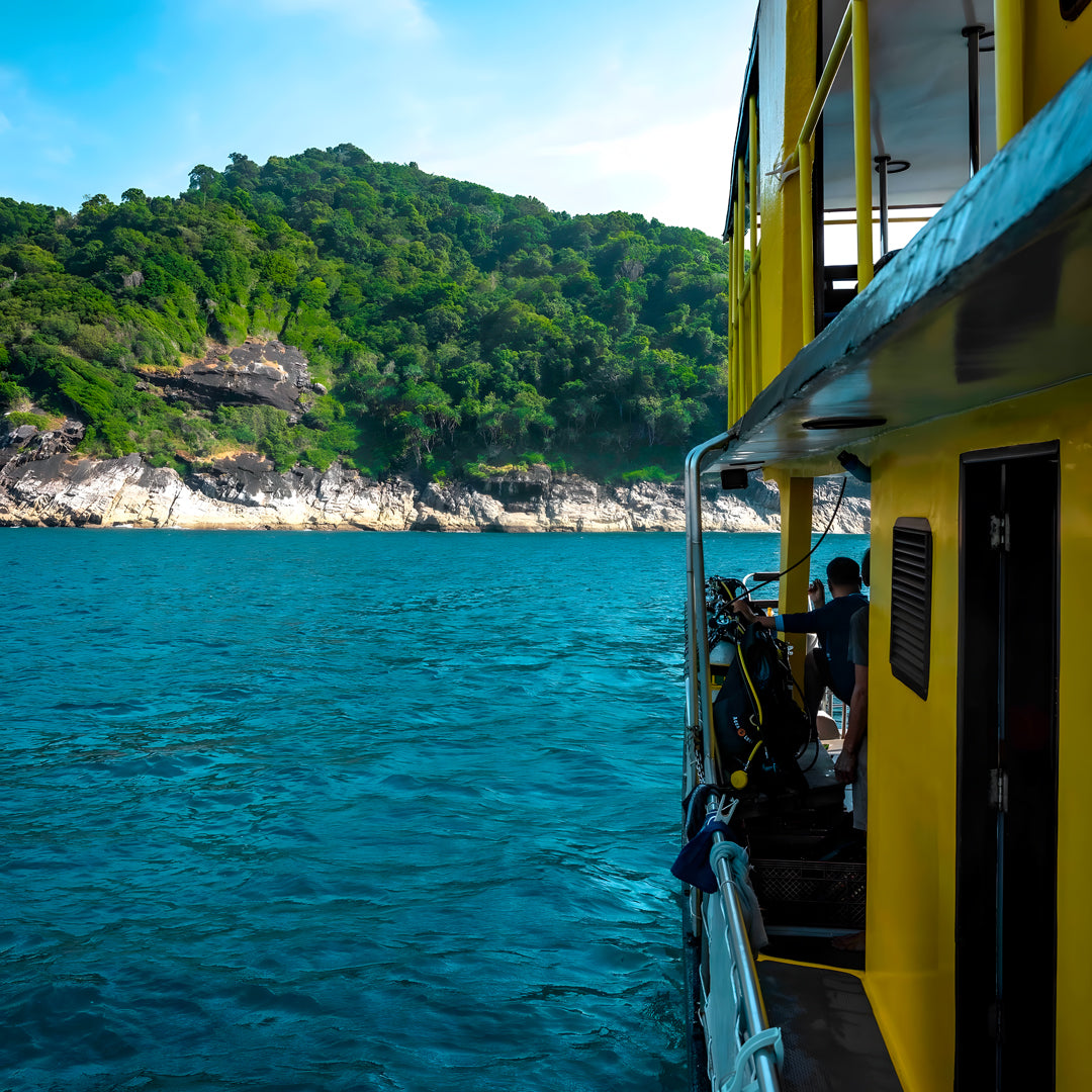 Phuket Shark Point Scuba Diving Day Trip