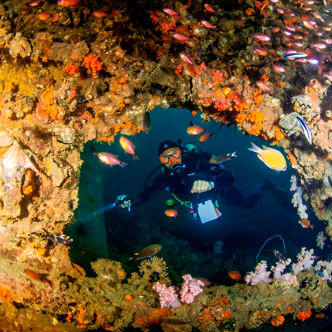 Try Scuba Diving Program in Phuket
