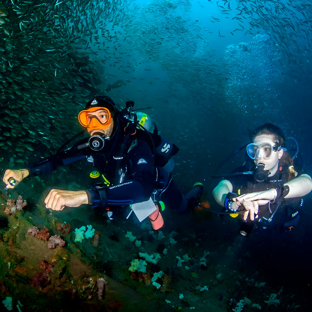 Phuket Shark Point Scuba Diving Day Trip