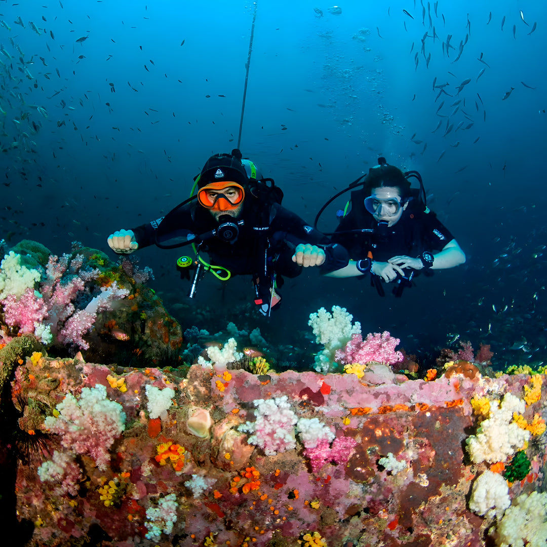 Racha Yai Scuba Diving Day Trip