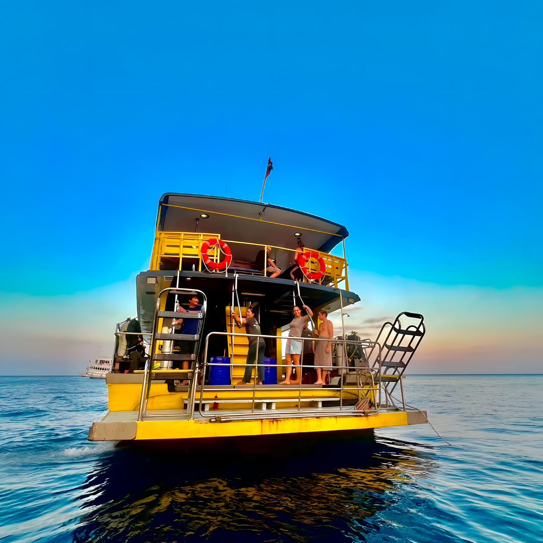 Phuket Shark Point Scuba Diving Day Trip